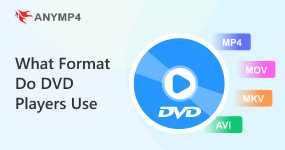Format do DVD Players use