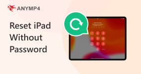 How to Reset iPad Without Password