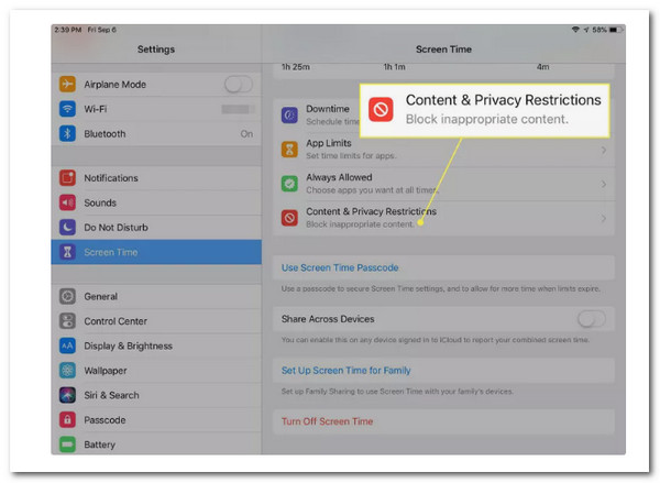 iPad Content Privacy Restrictions