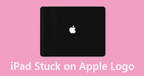 iPad Stuck on Apple