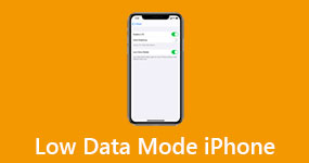 Low Data Mode iPhone
