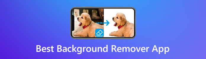 Best Picture Background Remover App