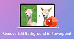 Edit Image Background in PowerPoint