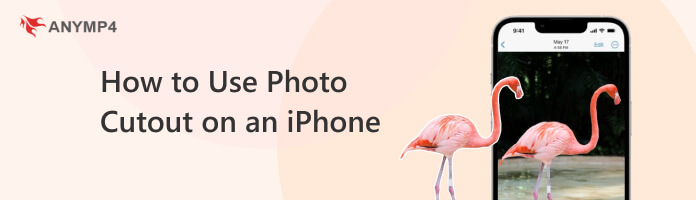 Use Photo Cutout on an iPhone