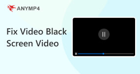 Fix Video Black Screen