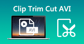 Clip/Trim/Cut AVI Files