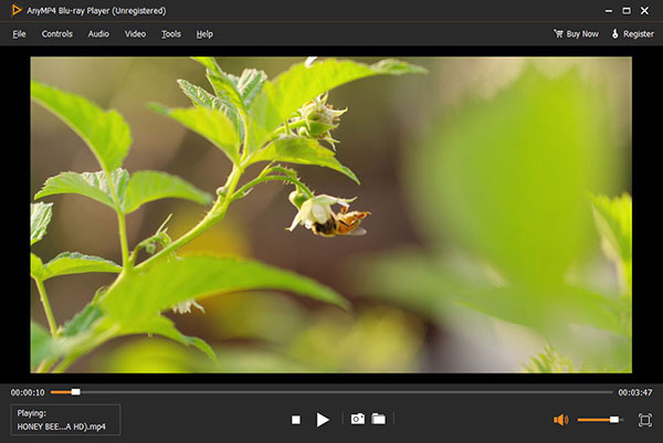 mp4 hd video player free download