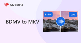 Bdmv To Mkv