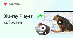 Blu Player Software