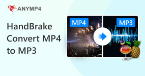 HandBrake Convert MP4 to MP3