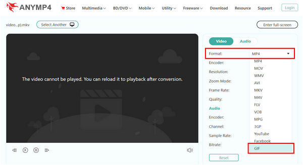 Anymp4 Free Video Converter Online Format Options