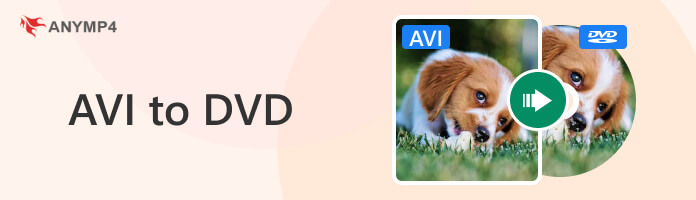 free convert avi to dvd format