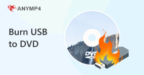 Burn USB to DVD