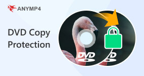 DVD Copy Protection