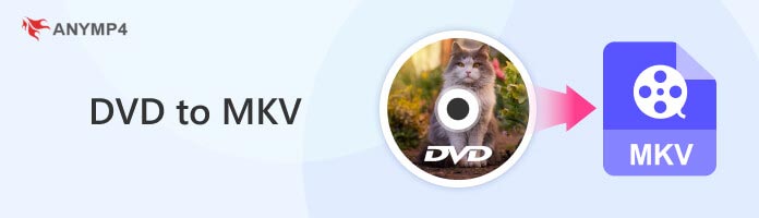 bulk convert dvd to mkv free