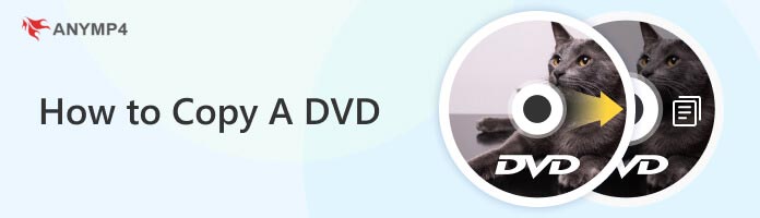 dvd copy software for macs