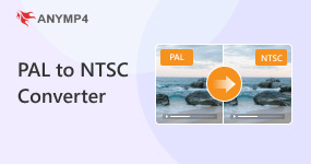 Pal To Ntsc Converter