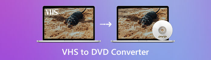 Las 3 mejores herramientas calificadas para convertir VHS a DVD