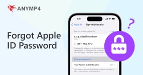 Forgot Apple Id Password