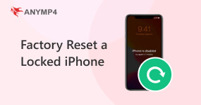 How to Factory Reset A Locked iPhone iPad