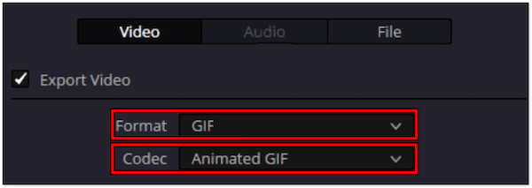 Set Format And Codec