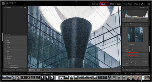 Lightroom Develop Noise Reduction