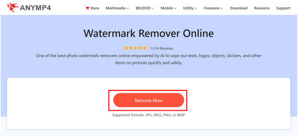 Anymp4 Watermark Remover Online Remove-Now