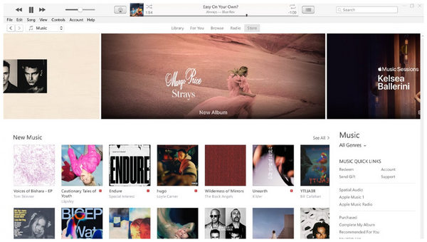 Itunes Interface