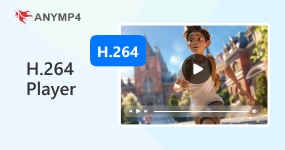 H.264 Player