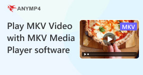  Play MKV Video with MKV Media Player Software