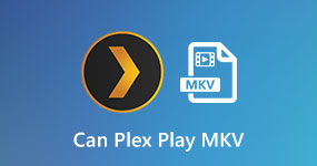 Can Plex Play MKV