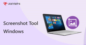 Screenshot Tool Windows