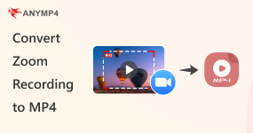Convert Zoom Recording to MP4