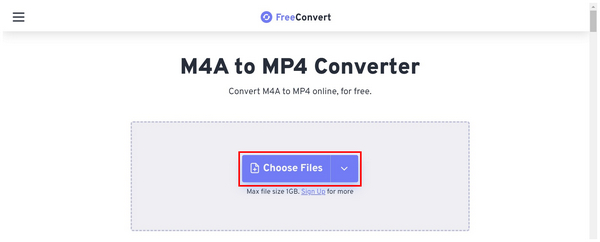 Online Converter Choose Files