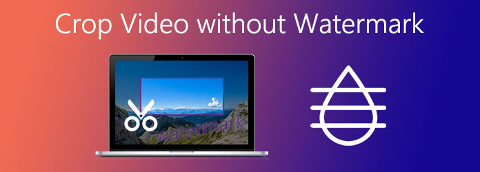 video crop online without watermark