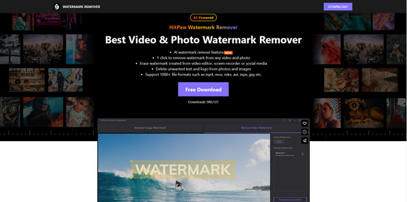 Hitpaw Watermark Remover