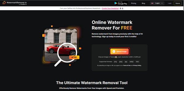 Visit Watermarkremover IO Website