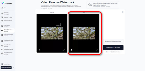 Wait And Preview When Removing Watermark