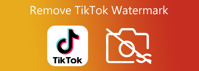 Elimine la marca de agua TikTok del video guardado con 3 aplicaciones de  eliminación