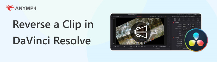 Reverse a Clip in DaVinci Resolve