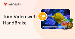 Trim Video with HandBrake