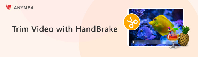 Trim Video with HandBrake