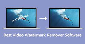 Video Watermark Remover