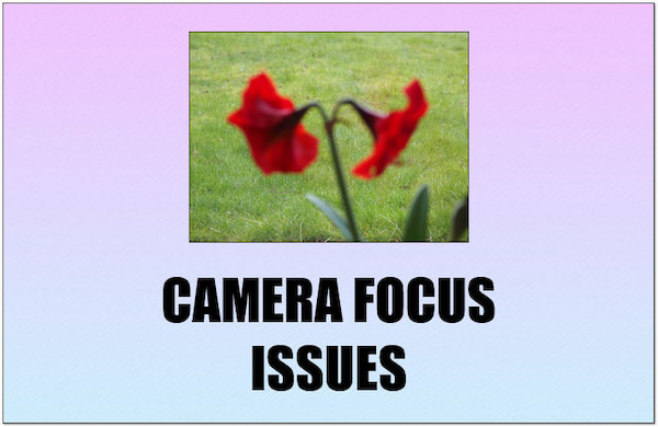 Camera Focus Issues