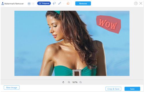 AI Photo Watermark Remover: Erase Watermark Online &Free
